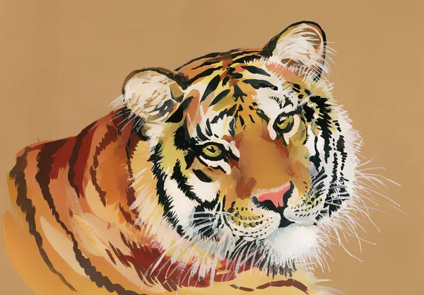 Акварель Тигр на коричневом фоне — стоковое фото