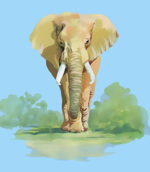 Éléphant aquarelle sur fond bleu — Photo