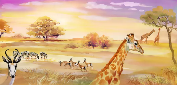 Illustration of animals in savannah — Stock Photo, Image