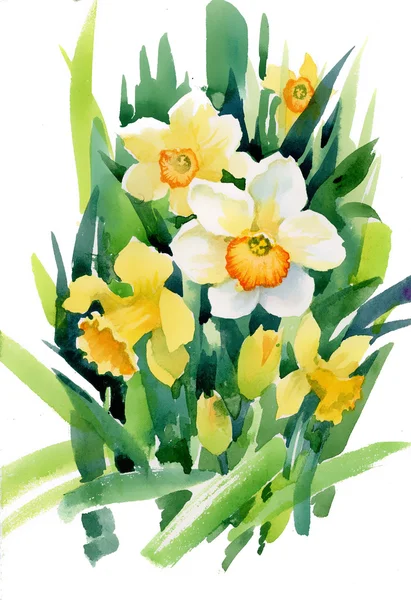 Watercolor narcissus bouquet — Stock Photo, Image