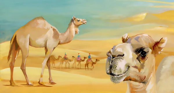 Watercolor camels in desert — Stock Photo, Image