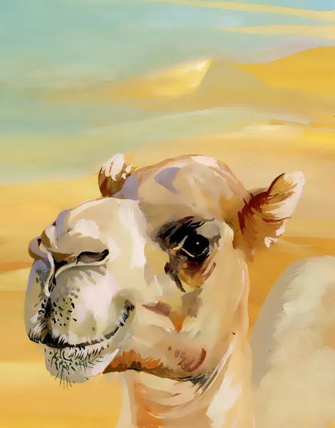 Watercolor camel in desert — Stock Photo, Image