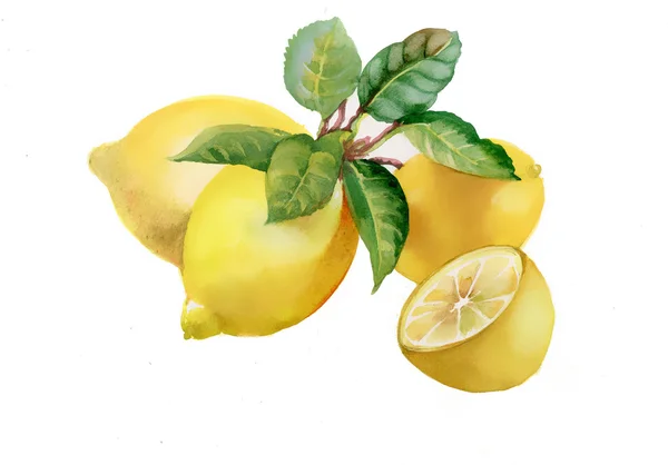 Lemons with green leaves — Stock Photo, Image