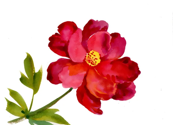 Watercolor red flower — Stock Photo, Image