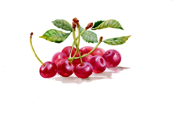 Watercolor cherries — Stock Photo, Image