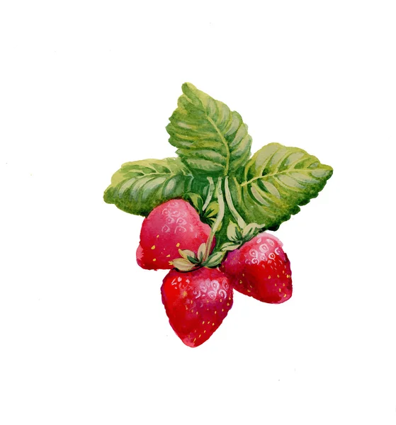 Watercolor strawberries — Stock Photo, Image