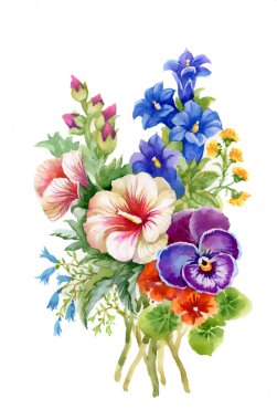 renkli kır çiçekleri