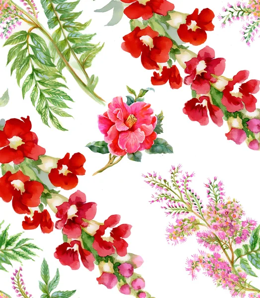 Bouquet of colorful wildflowers background — Stock Photo, Image