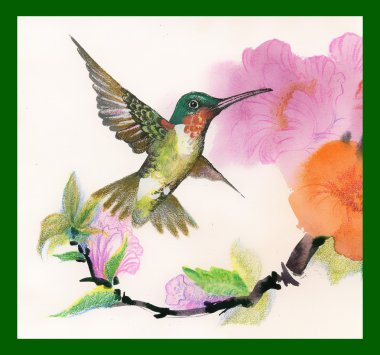 güzel parlak kuş ve çiçek Çizim