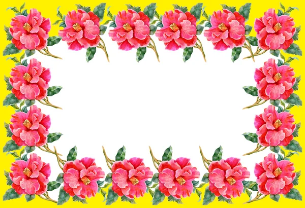 Floral frame — Stock Photo, Image