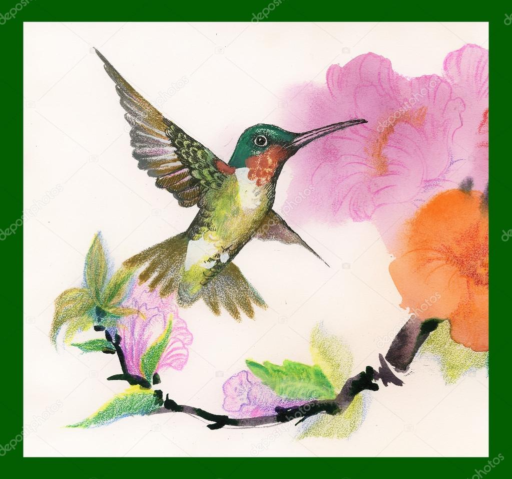 Dessin De Bel Oiseau Vif Et Fleurs Photographie Kostan
