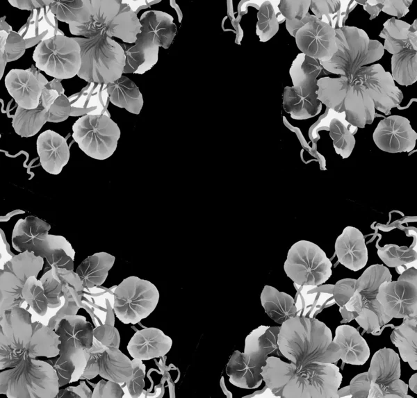 Flowers on black — Stock Photo, Image