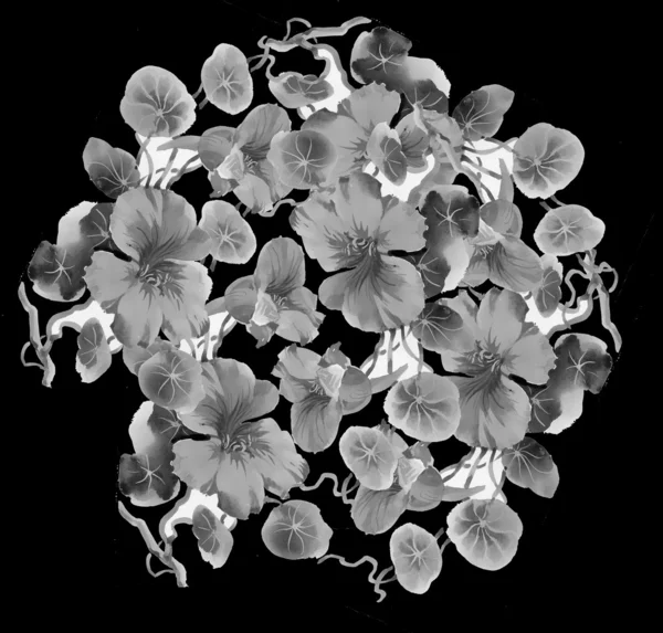 Λουλούδια σε μαύρο — Φωτογραφία Αρχείου