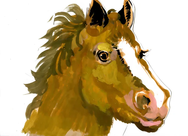 Cabeça de cavalo aquarela pintura — Fotografia de Stock