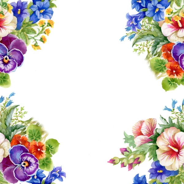 Floral colorful mallow flowers frame — Stock Photo, Image