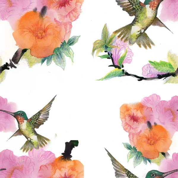 Fiori di malva colorati floreali con colibri — Foto Stock