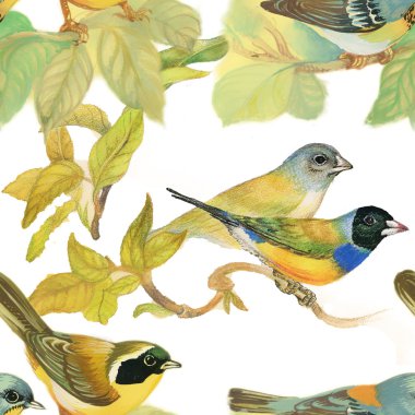 yabani kuşlar ve çiçekler