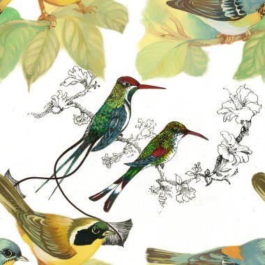 yabani kuşlar ve çiçekler