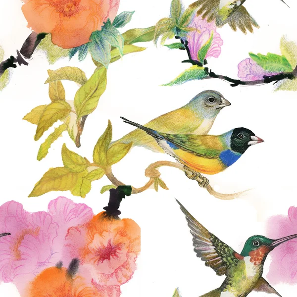 Yabani kuşlar ve çiçekler — Stockfoto