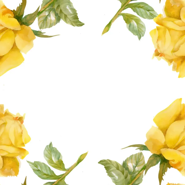 Patroon van gele rozen — Stockfoto