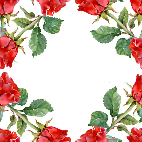 Red Roses  pattern — Stock Photo, Image