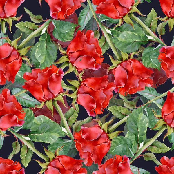 Red Roses  pattern — Stock Photo, Image