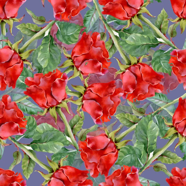 Red Roses  pattern — Stock Photo, Image