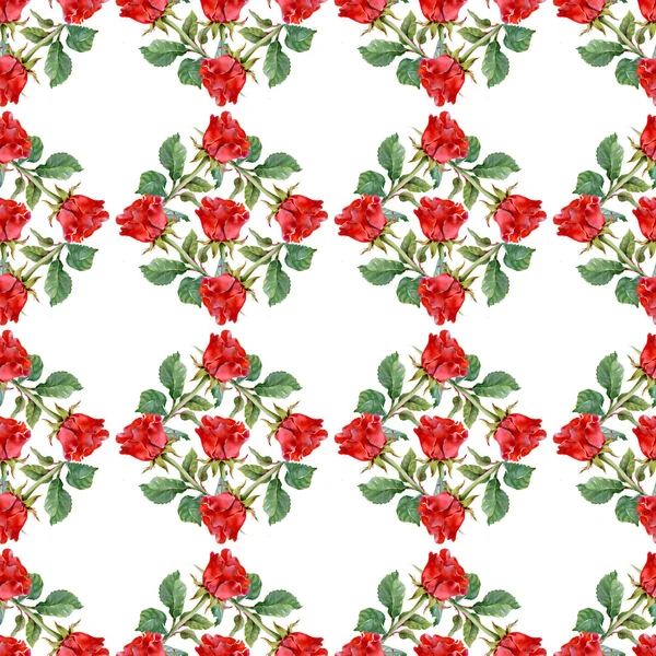 Rode rozen patroon — Stockfoto