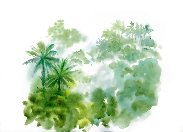 Dschungelbäume — Stockfoto