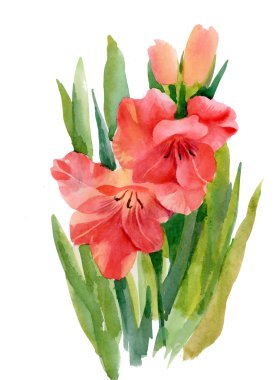 renkli kır çiçekleri buketi