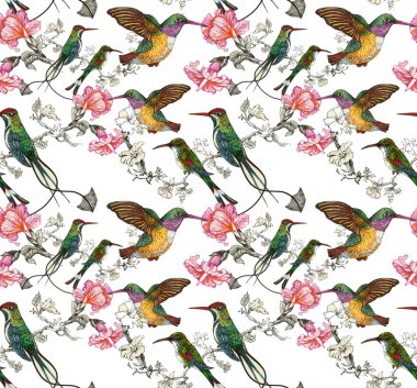 Kuşlar ve çiçekler pürüzsüz desen