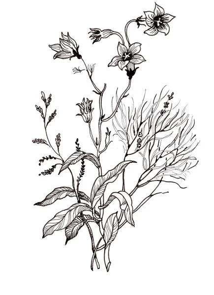 Όμορφη χειροποίητη λουλούδι σκίτσο — Φωτογραφία Αρχείου