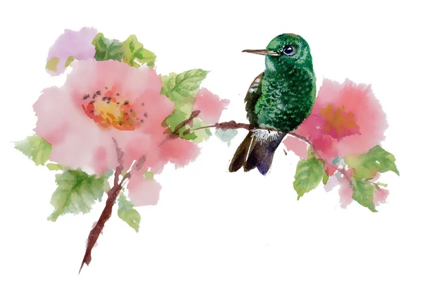Vogel en bloemen — Stockfoto