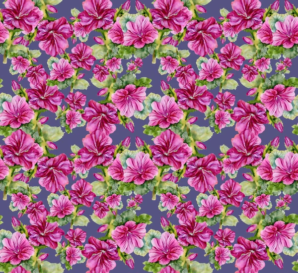 Motif floral sans couture coloré — Photo