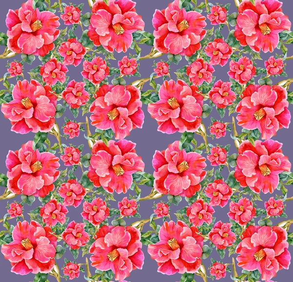 Motif floral sans couture coloré — Photo