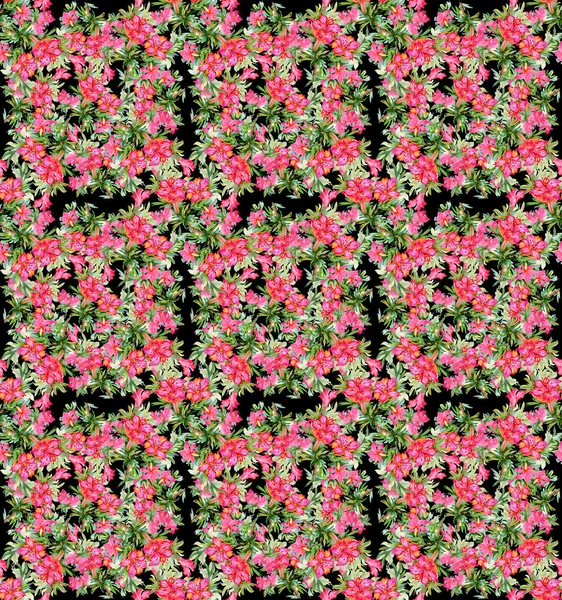 रंगीत फुलांचा एकसंधी नमुना — स्टॉक फोटो, इमेज