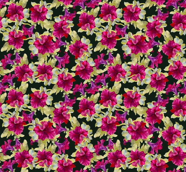 Colorful floral seamless pattern — Stock Photo, Image