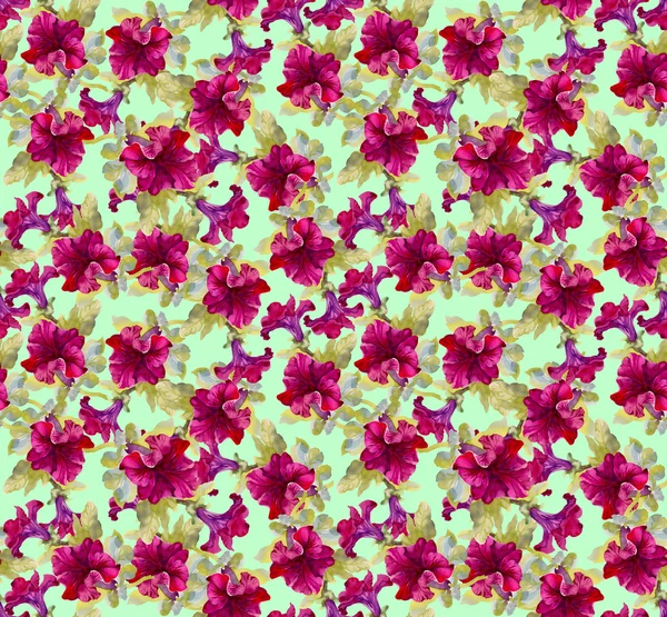 Motif floral sans couture coloré — Photo