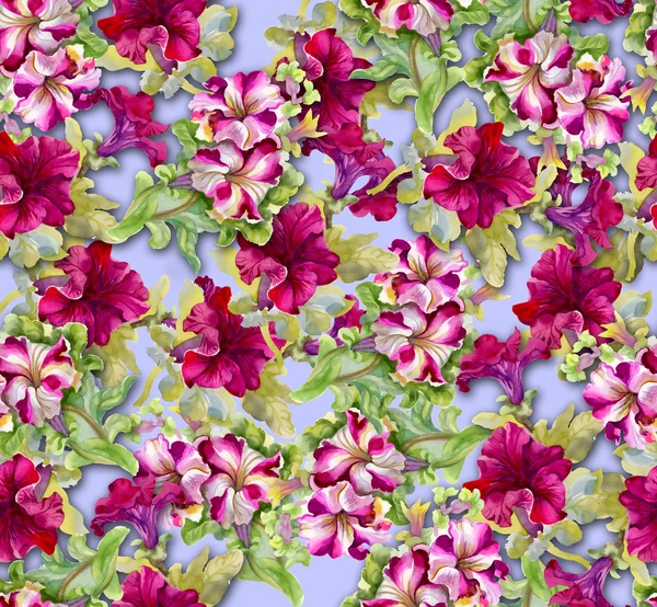 Colorful floral seamless pattern — Stock Photo, Image