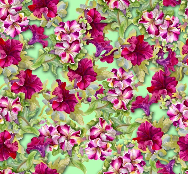 カラフルな花のシームレスなパターン — ストック写真