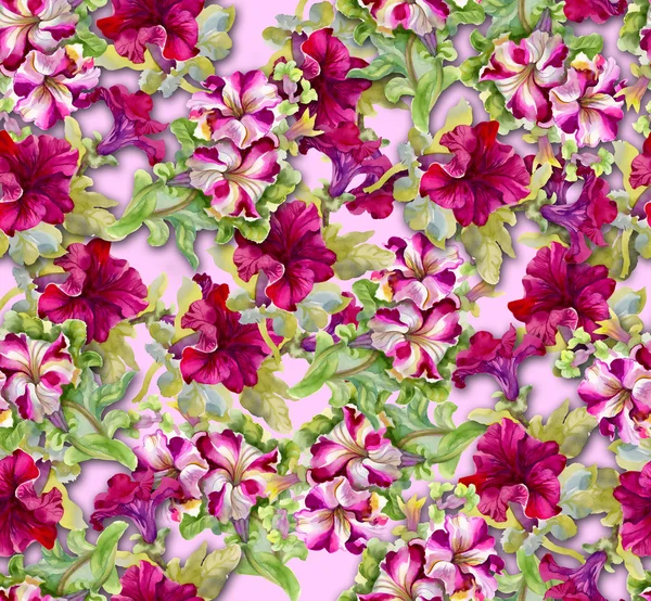 Colorful floral seamless pattern — Stock Photo, Image