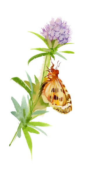 Kwiat z motyl — Zdjęcie stockowe
