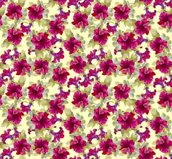 Motif floral sans couture coloré — Photo
