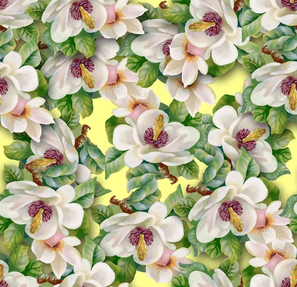 Suluboya çiçek arka plan — Stok fotoğraf