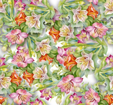 alstroemeria arka plan
