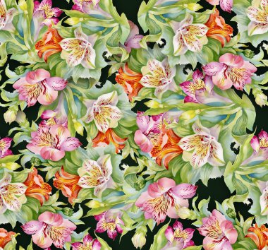 alstroemeria arka plan