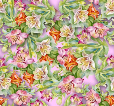 alstroemeria arka plan