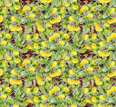 karahindiba arka plan