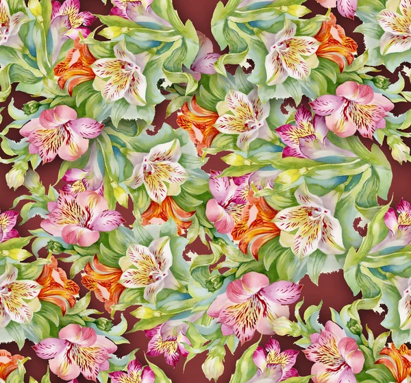 Alstroemeria background — Stock Photo, Image