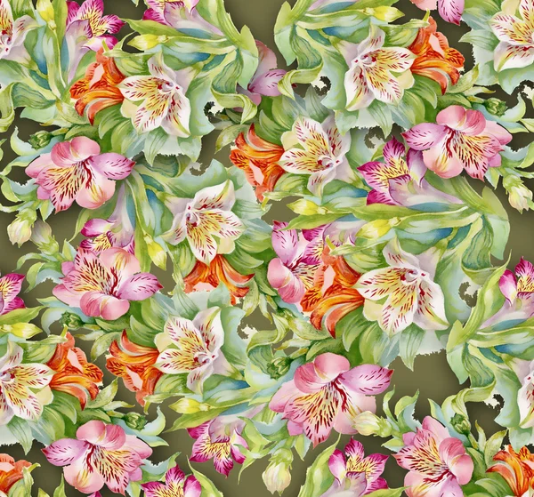 Alstroemeria de fondo — Foto de Stock